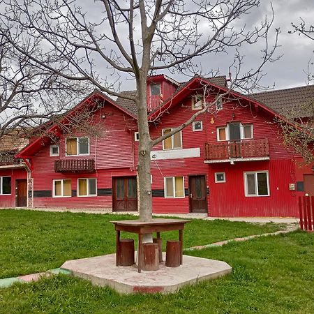 Pensiunea Irina 3 Zărneşti المظهر الخارجي الصورة