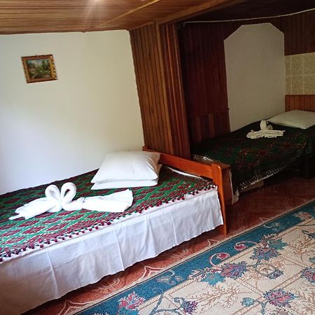 Pensiunea Irina 3 Zărneşti المظهر الخارجي الصورة