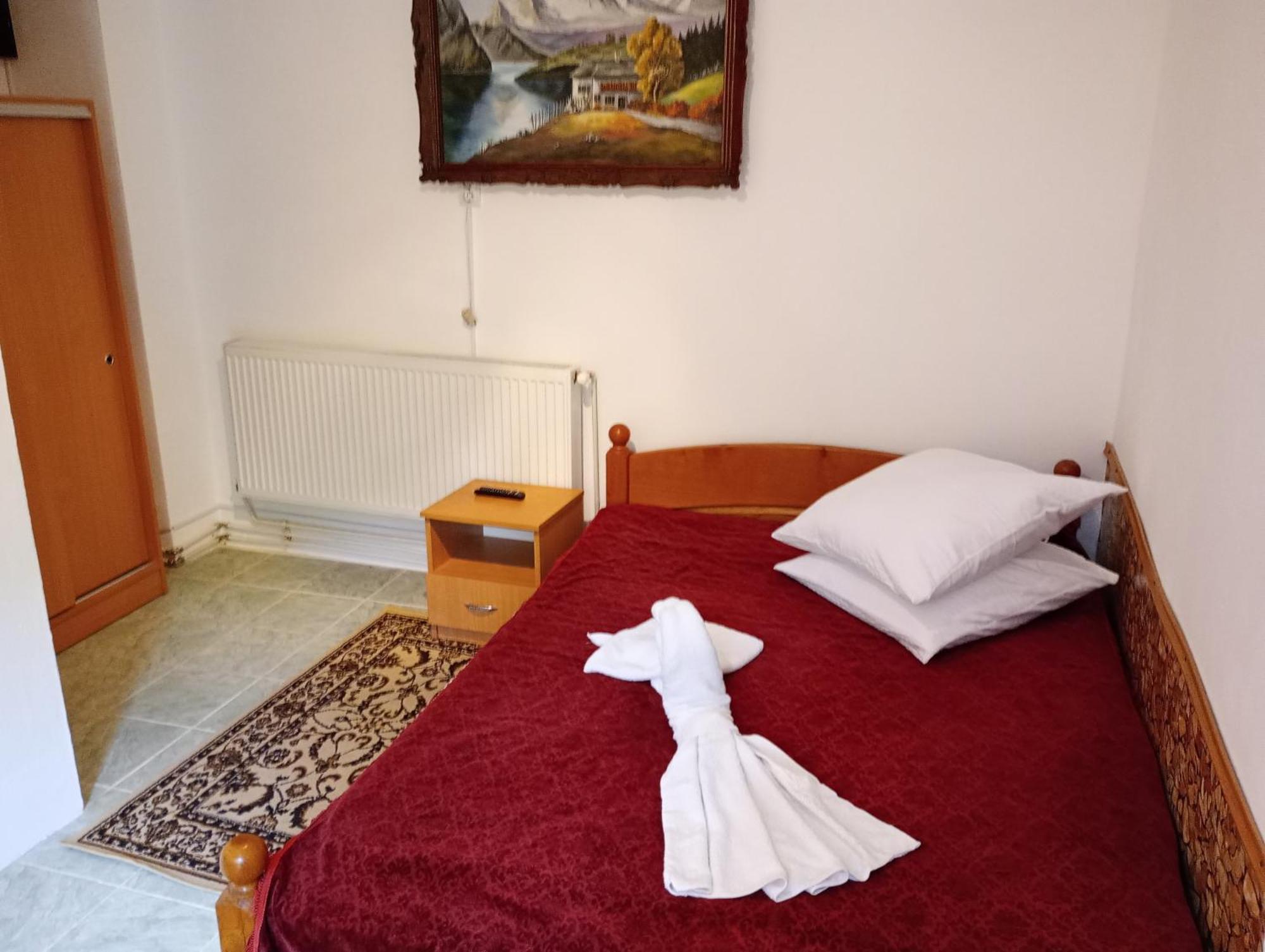 Pensiunea Irina 3 Zărneşti المظهر الخارجي الصورة