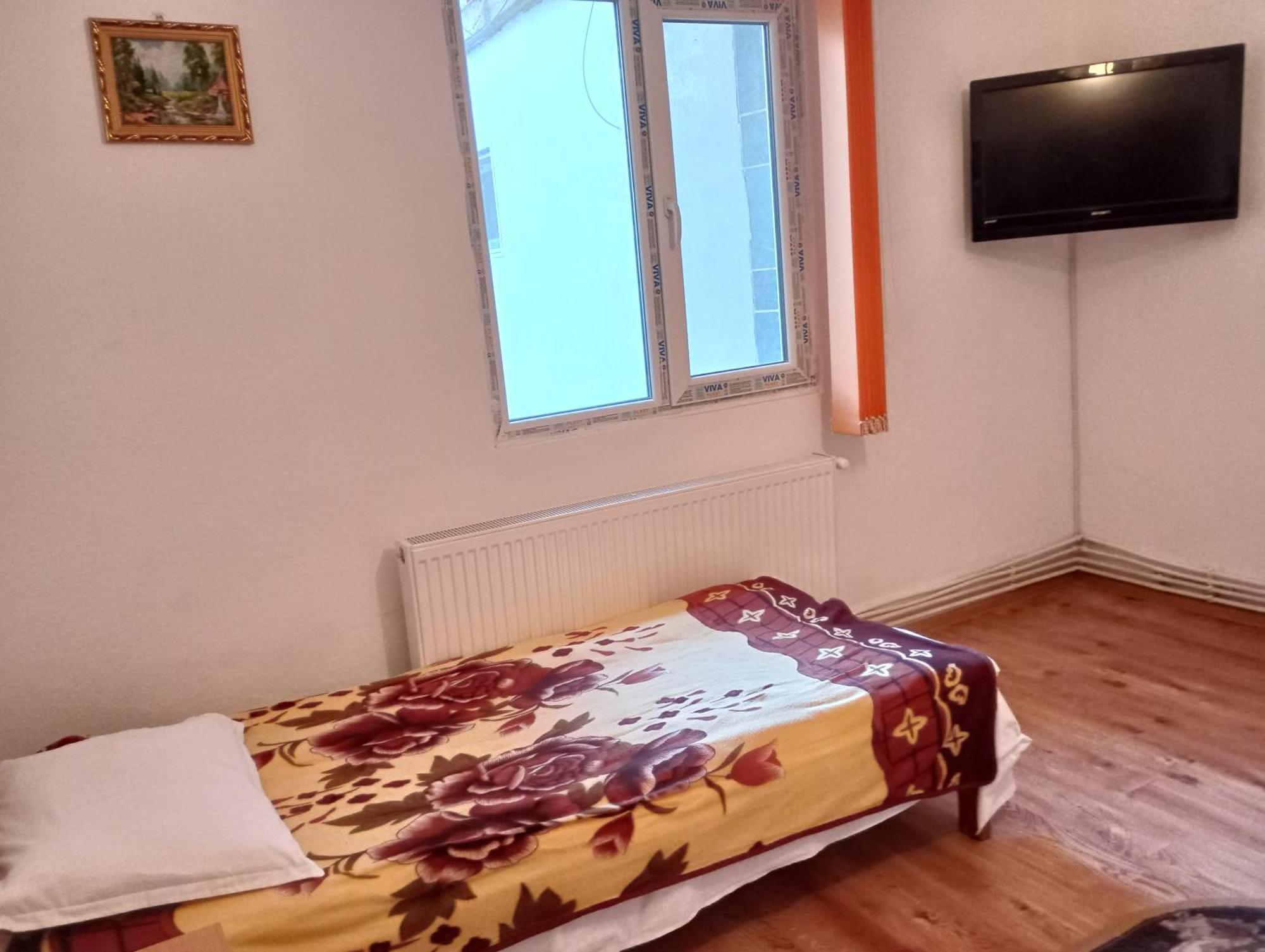 Pensiunea Irina 3 Zărneşti المظهر الخارجي الصورة