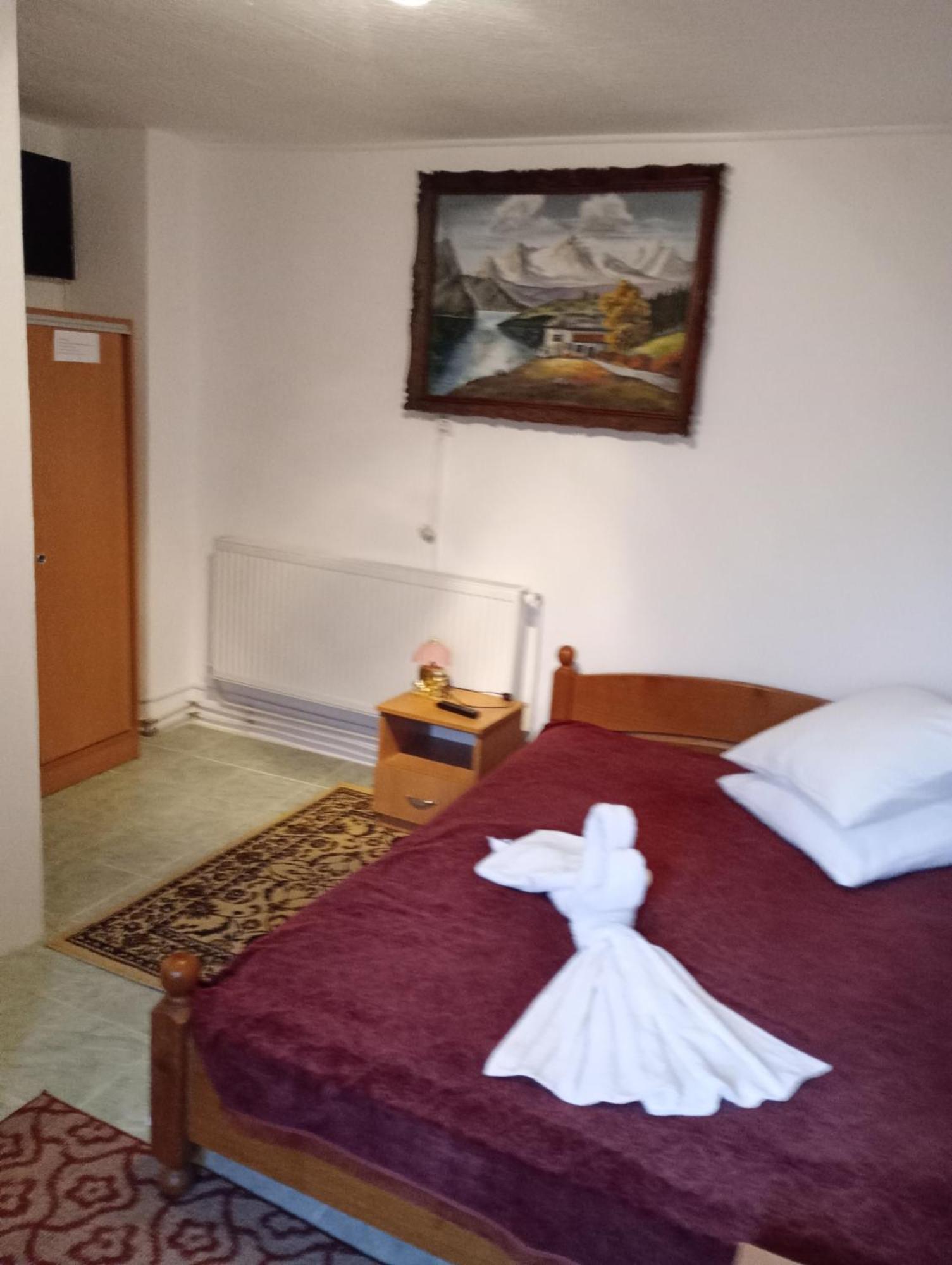 Pensiunea Irina 3 Zărneşti المظهر الخارجي الصورة