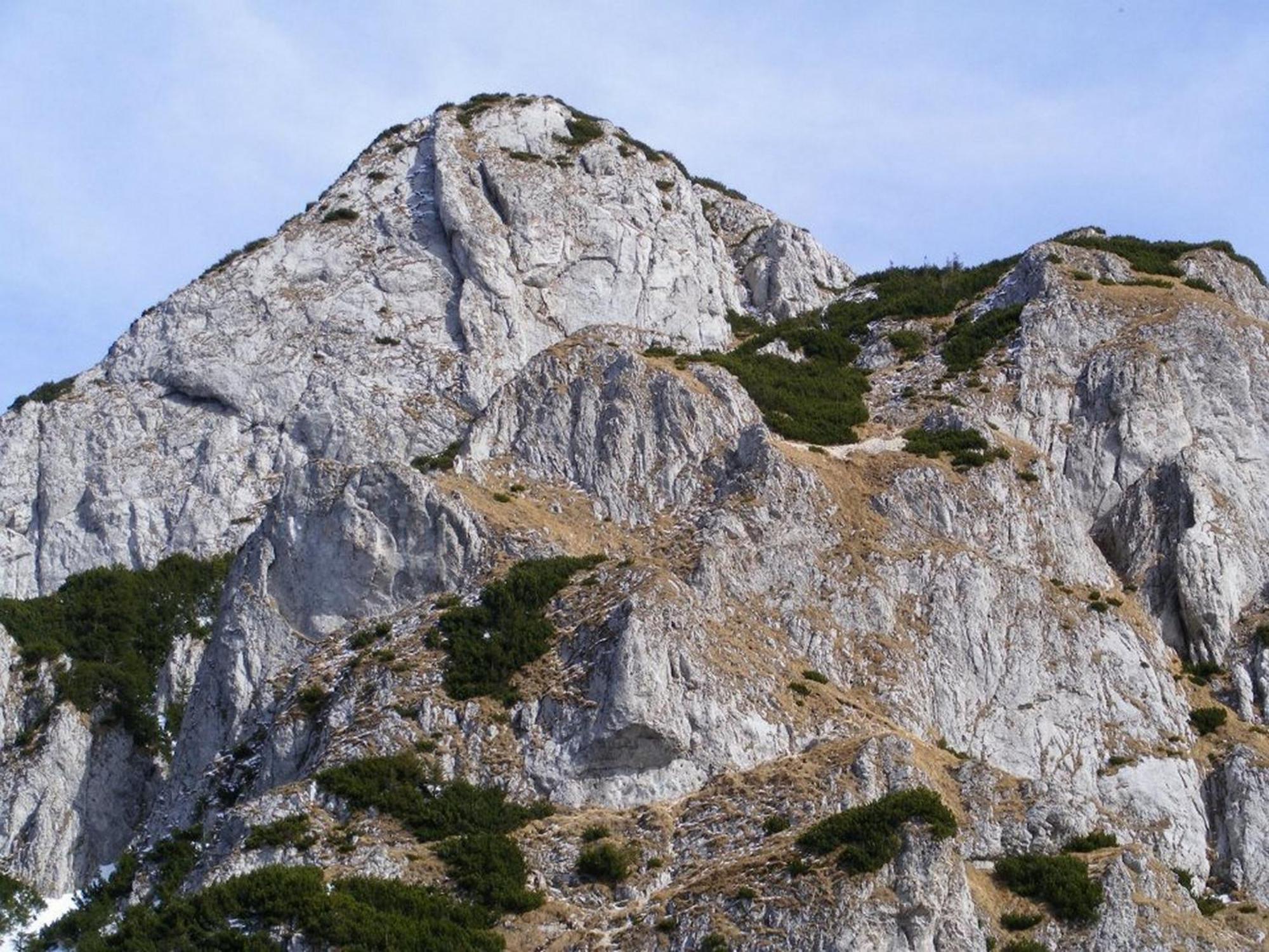 Pensiunea Irina 3 Zărneşti المظهر الخارجي الصورة
