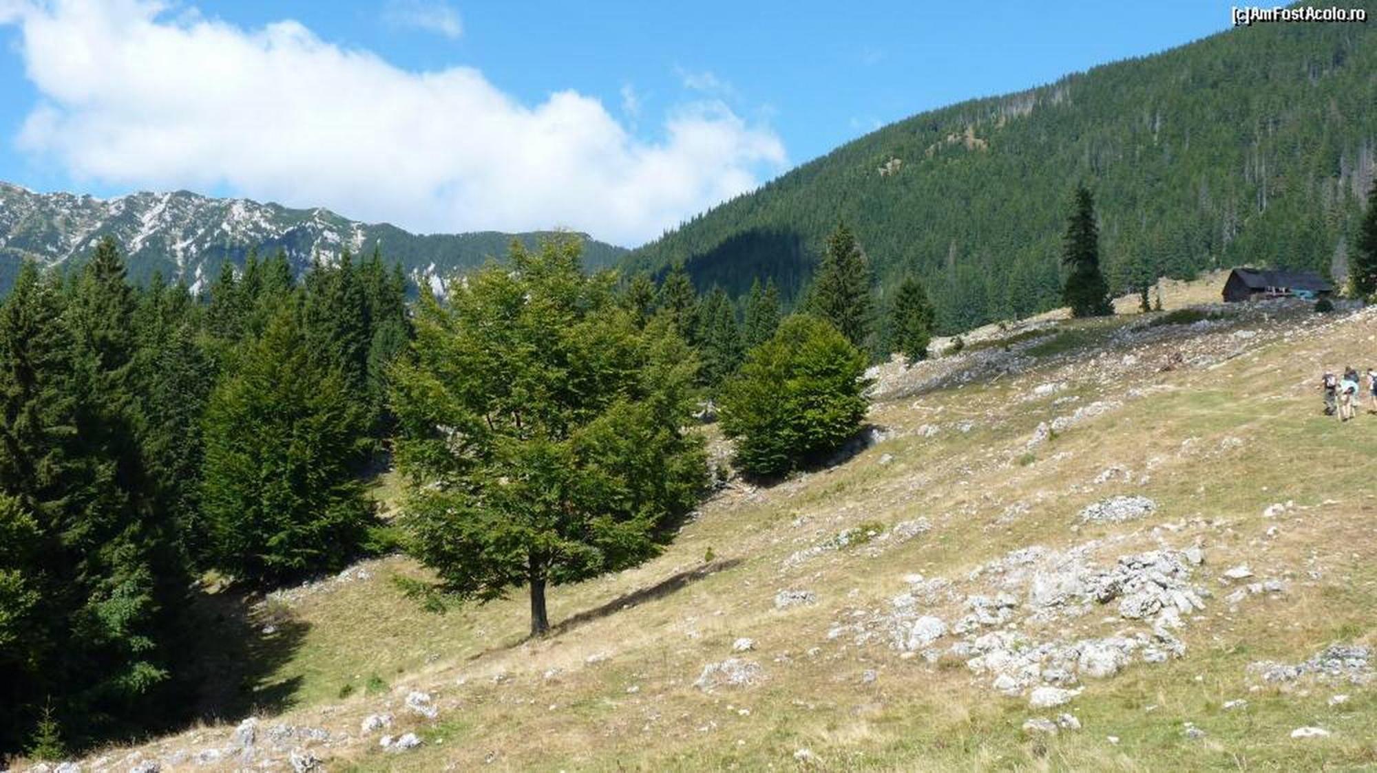 Pensiunea Irina 3 Zărneşti المظهر الخارجي الصورة