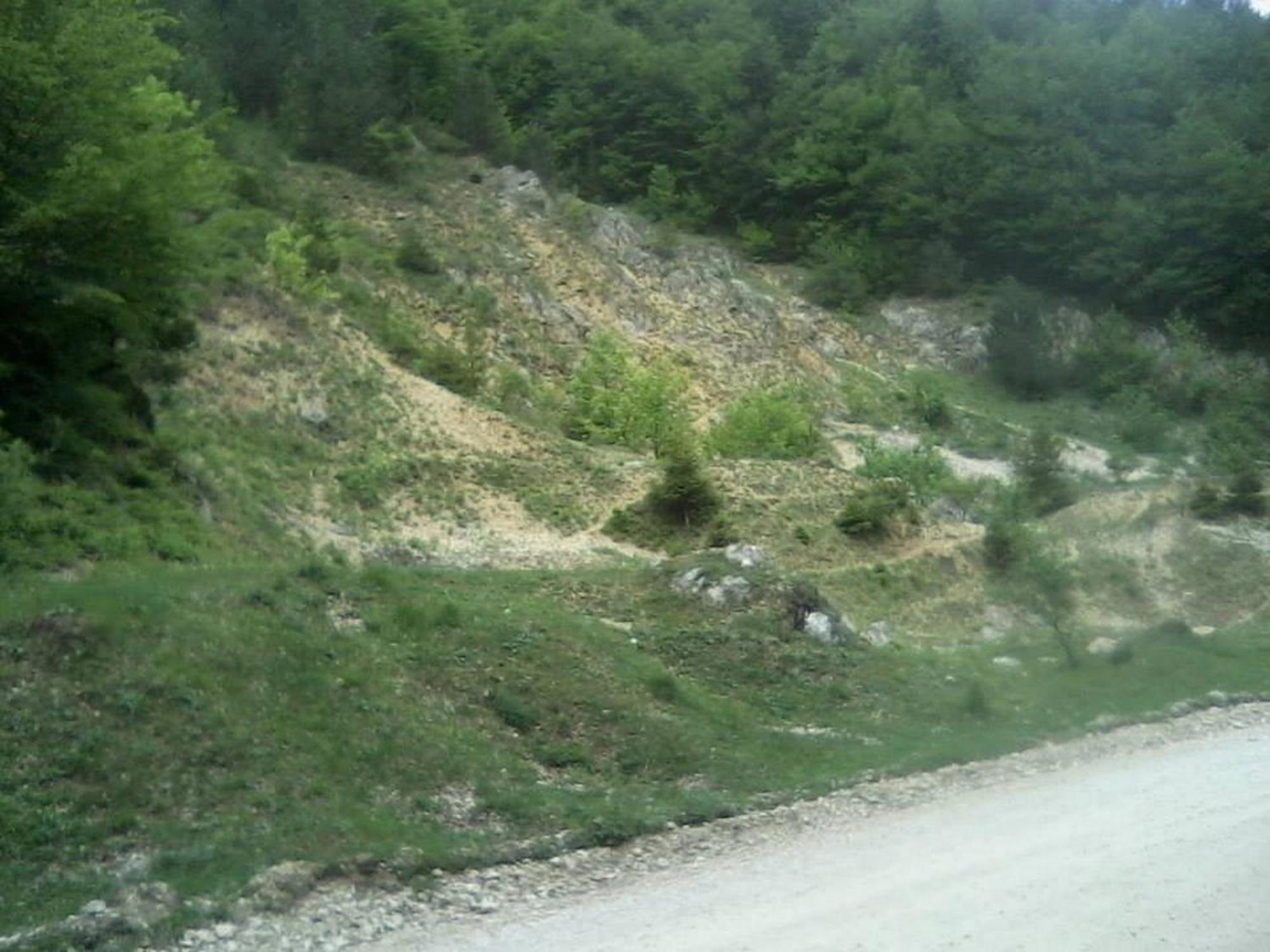 Pensiunea Irina 3 Zărneşti المظهر الخارجي الصورة