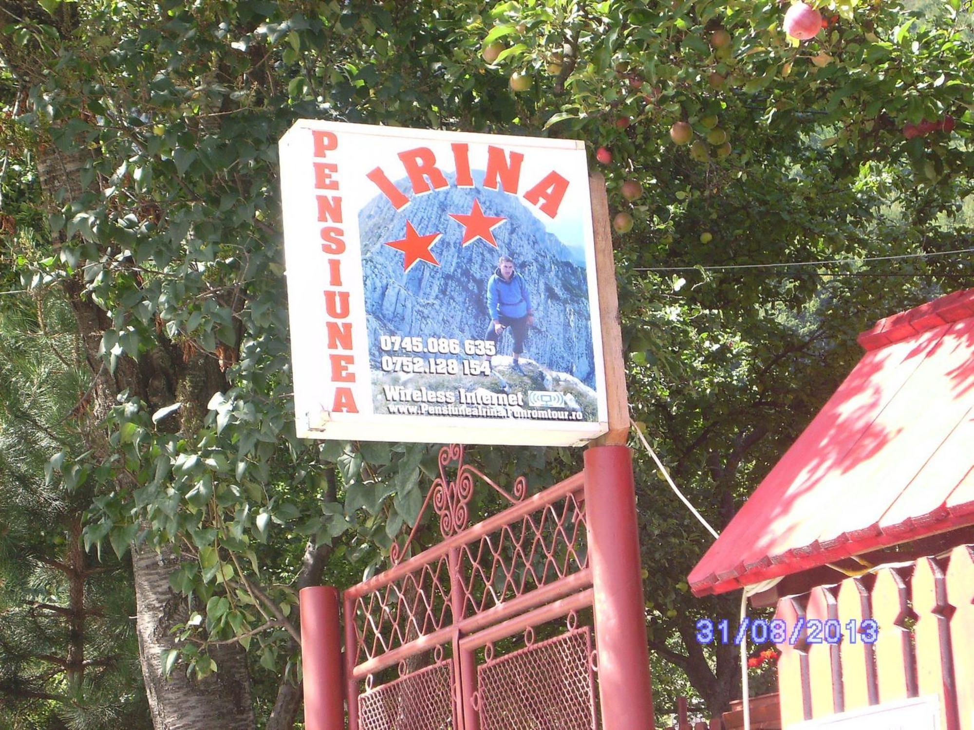 Pensiunea Irina 3 Zărneşti المظهر الخارجي الصورة