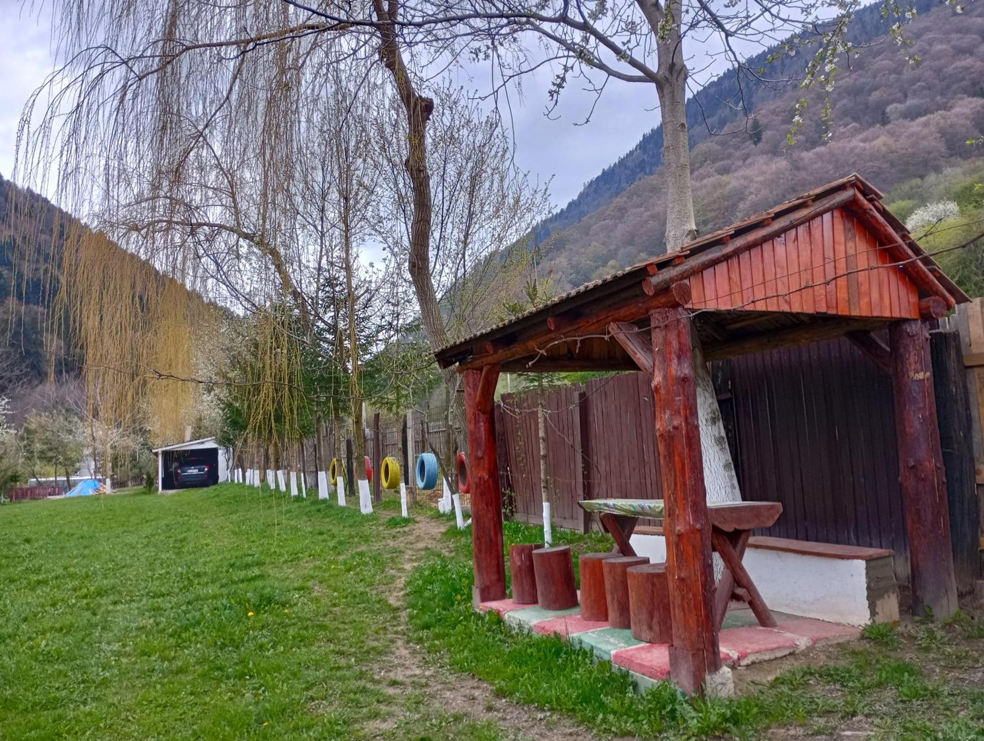 Pensiunea Irina 3 Zărneşti المظهر الخارجي الصورة