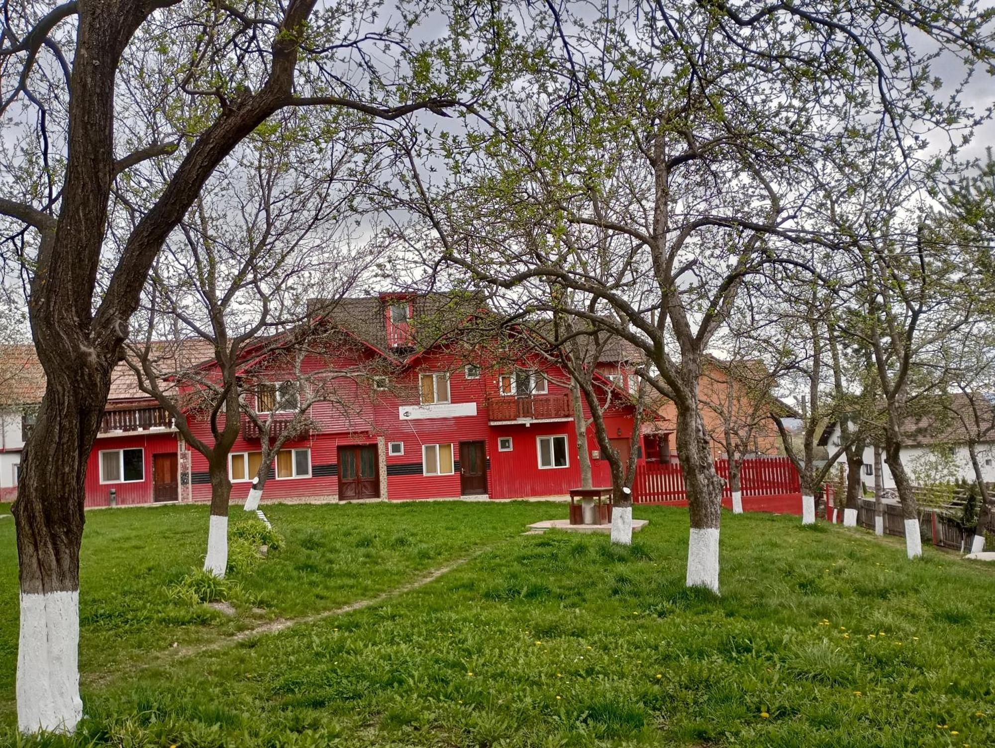 Pensiunea Irina 3 Zărneşti المظهر الخارجي الصورة