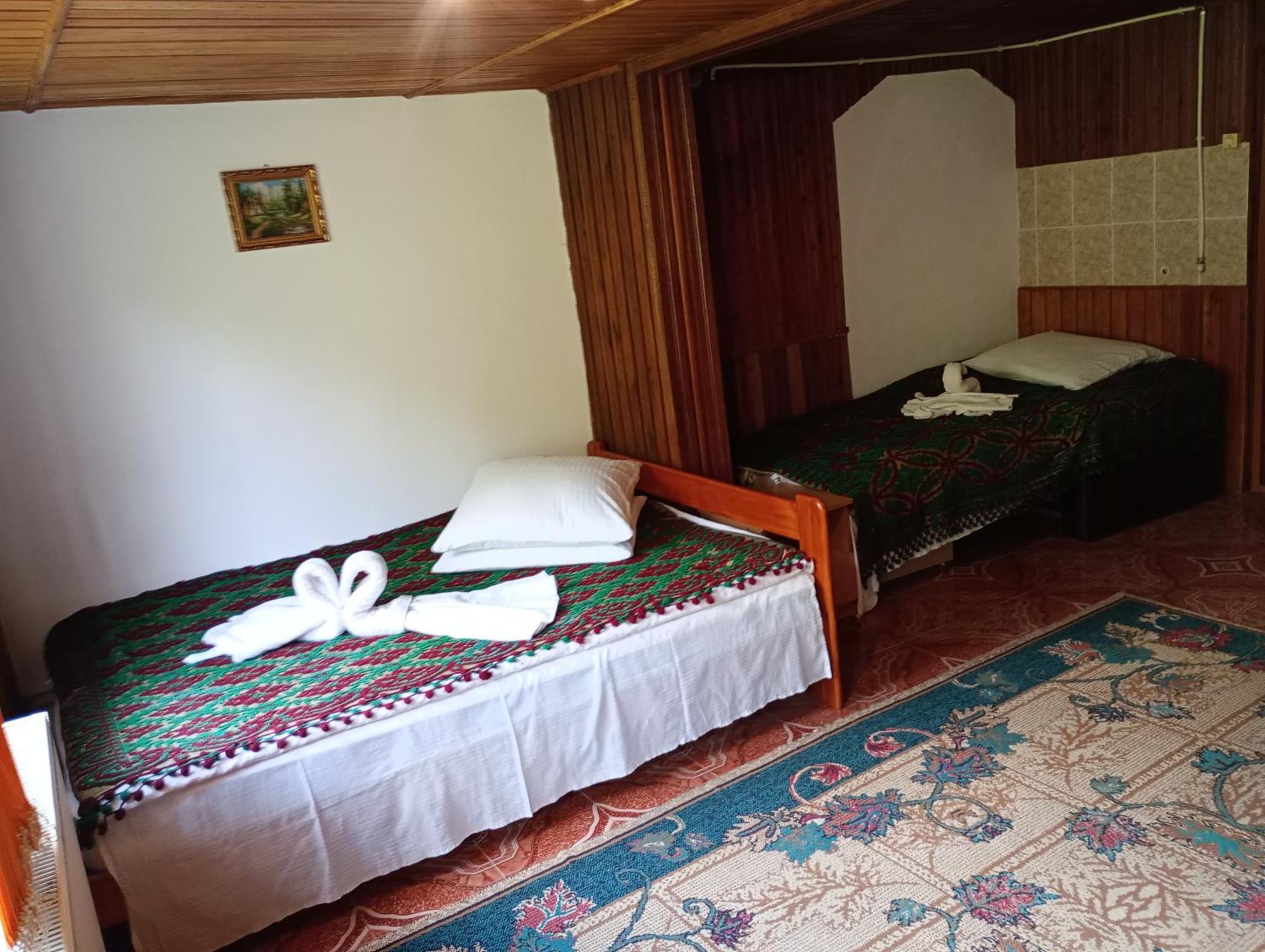 Pensiunea Irina 3 Zărneşti المظهر الخارجي الصورة